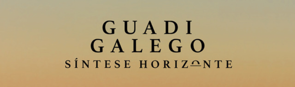 Guadi Galego