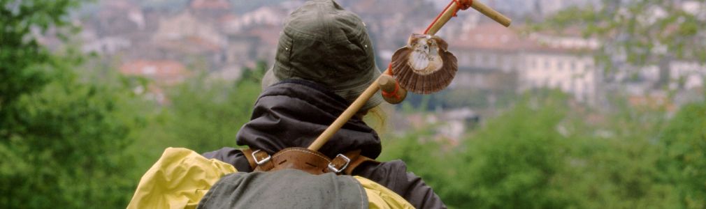 Tour Peregrino por un día