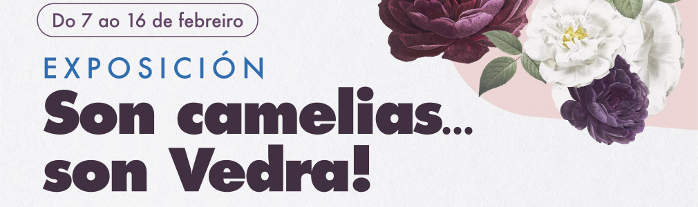 Son camelias… son Vedra!