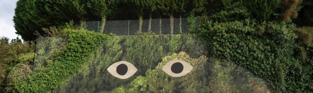 MAZ Feat. DOA (Galicia) “Semella ver o verde ollarnos  cos ollos de cemento”