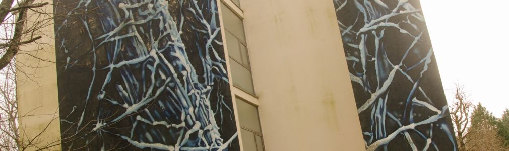 LIQEN (Galicia)  “Sen título”