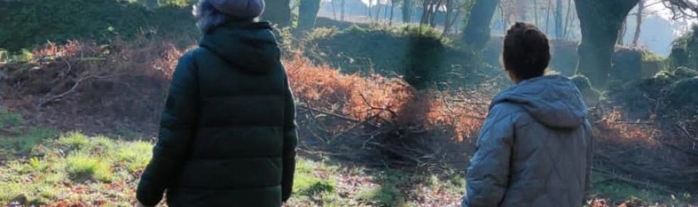 Baño de bosque shinrin yoku: solpor na Selva Negra 