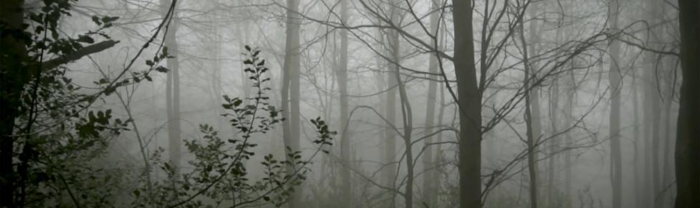 Percepción e incertidumbre