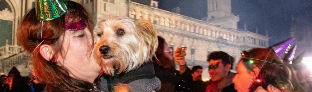 Fiesta de fin de año