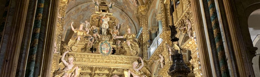 Tour Catedral de Santiago e Museo