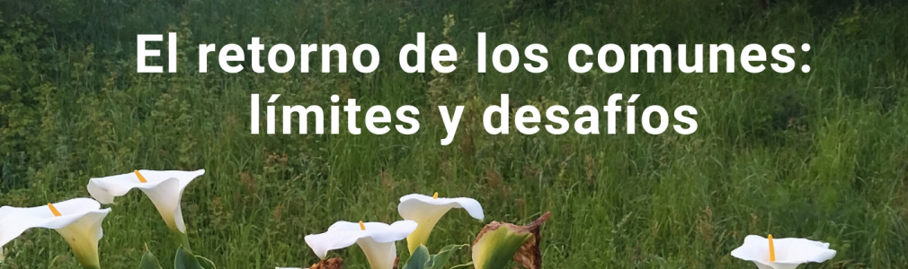 Colloquium-INCIPIT “O retorno dos comúns: límites e desafíos”