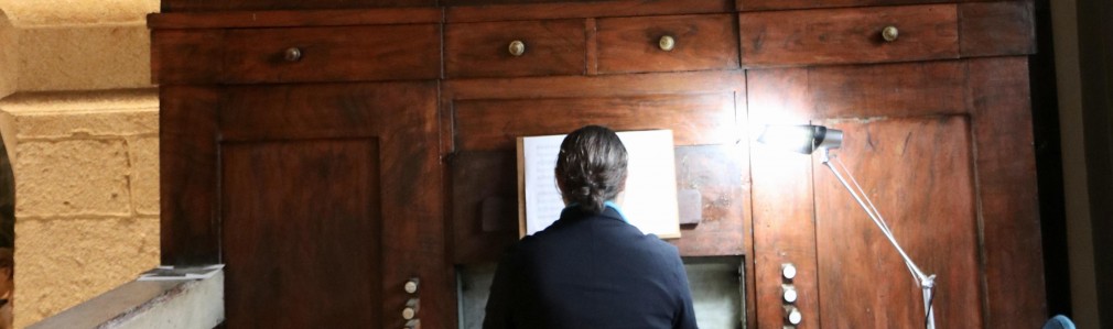 De Lugares e Órganos 2026-Nel labirinto degli Affetti. Afectos en tránsito no Seicento italiano