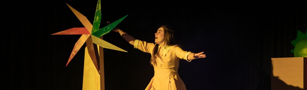 A Tarabela Ambulante: Idea