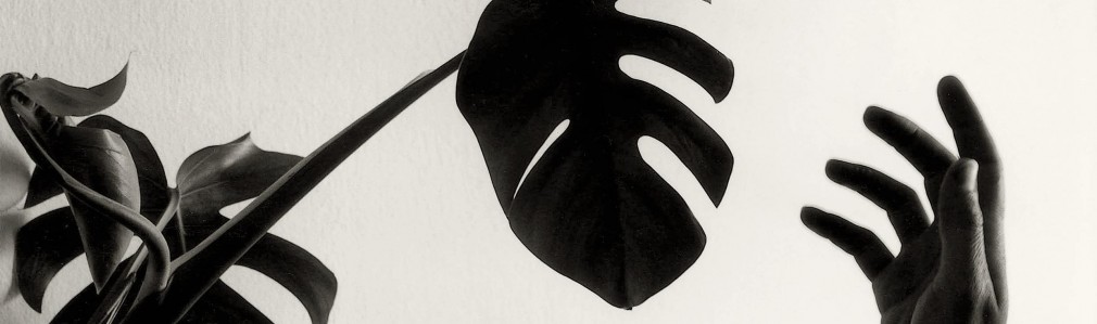 A natureza das cousas