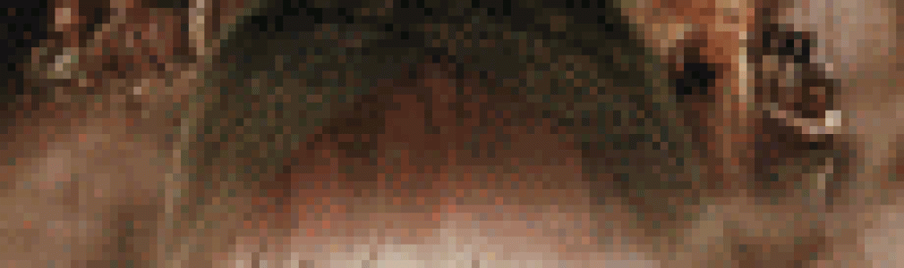 El Señor de los Anillos