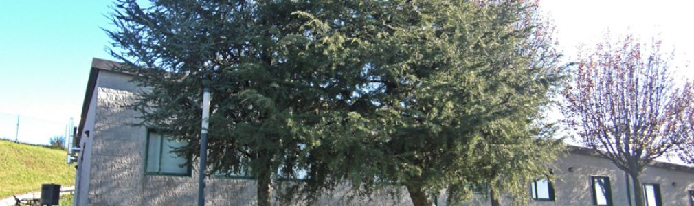 Albergue de Peregrinos y Juvenil Monte do Gozo 4