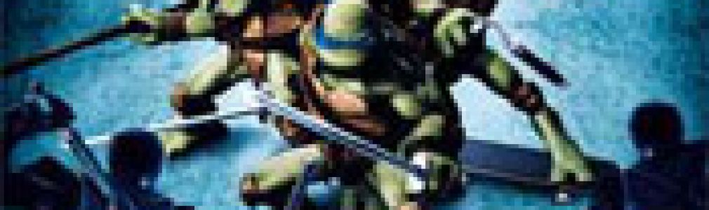 Tortugas Ninja j&#243;venes mutantes