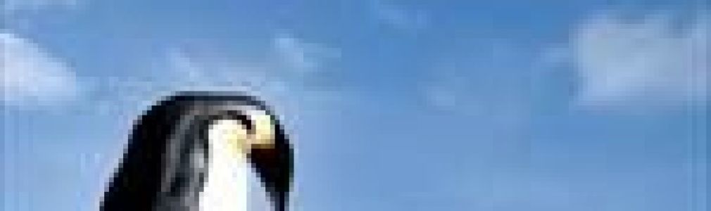 El viaje del emperador