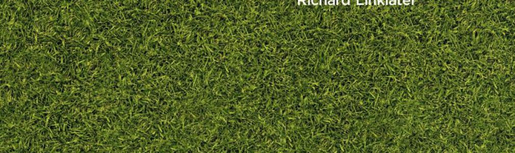 Boyhood (Momentos de una vida)