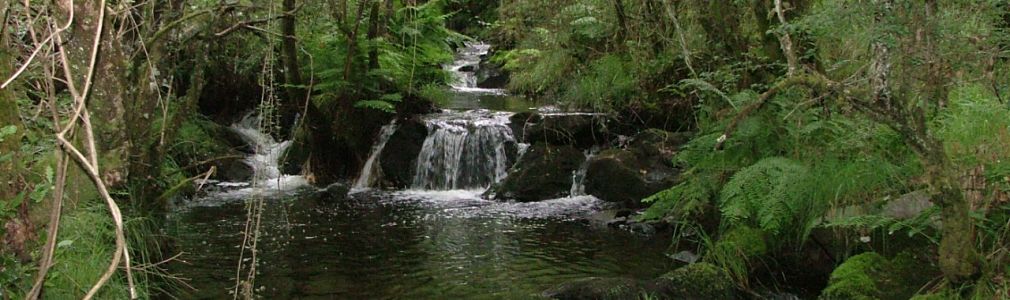 Pescando en el Beseño