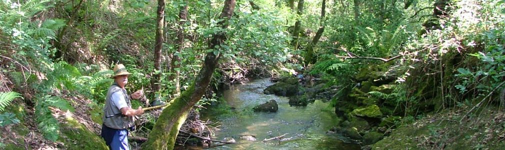 Zona libre de pesca del río Beseño