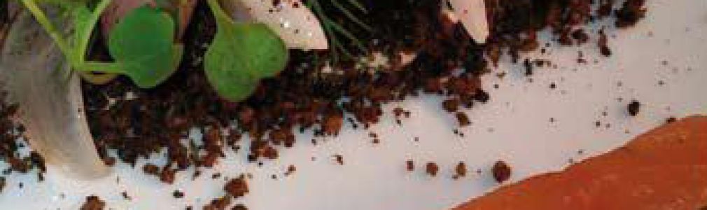 Recetas Fórum Gastronómico Santiago 2010