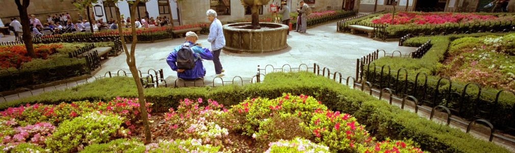 Plaza de Fonseca (II)