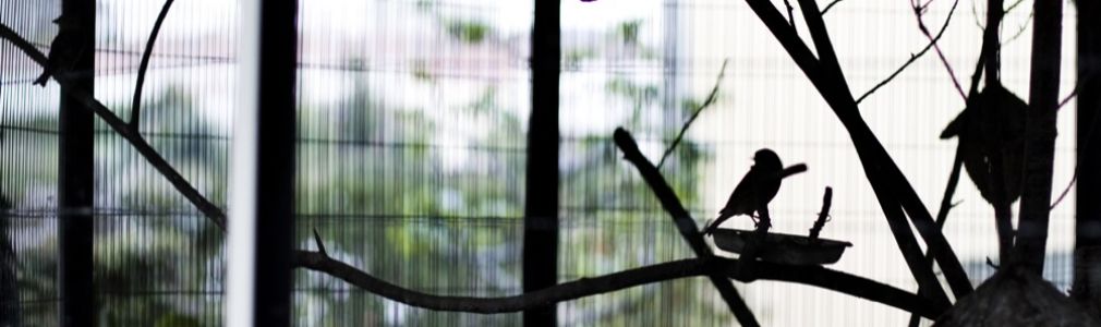 Hotel Virxe da Cerca