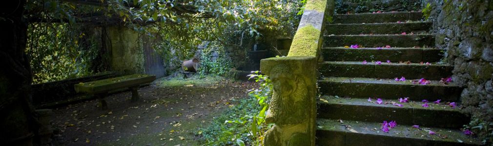 Pazo de Ribadulla (I)