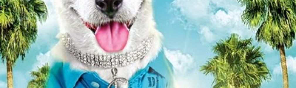 Pancho, el perro millonario