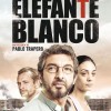 Imagen:Elefante blanco