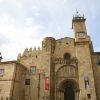 Ourense y O Ribeiro: Villas Medievales entre viñedos
