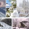 O marabilloso Camiño de Inverno