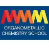 XIII International School of organometallic Chemistry