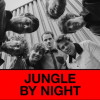 Jungle by Night