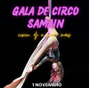 Gala de Circo de Samaín