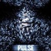 Imagen:Pulse (Conexión)