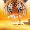 Imagen:La vida de Pi