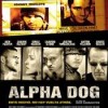 Imagen:Alpha Dog