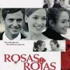 Imagen:Rosas Rojas