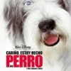Imagen:Cariño, estoy hecho un perro